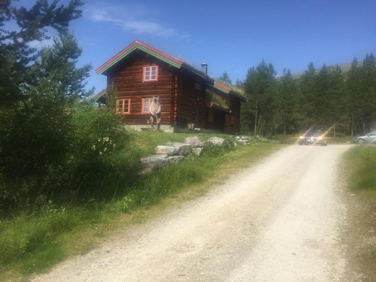 Villa Rondane Sollia Friluftsliv Ovre Nordli Exterior foto