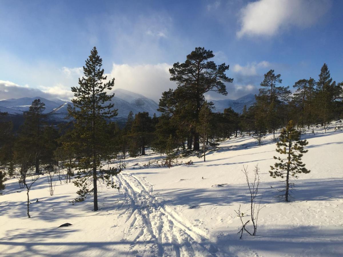 Villa Rondane Sollia Friluftsliv Ovre Nordli Exterior foto